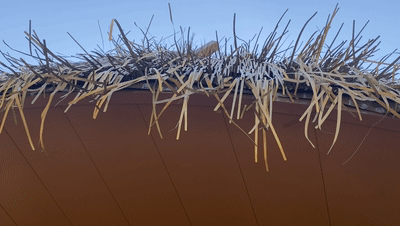 微信图片_20211214164229.gif